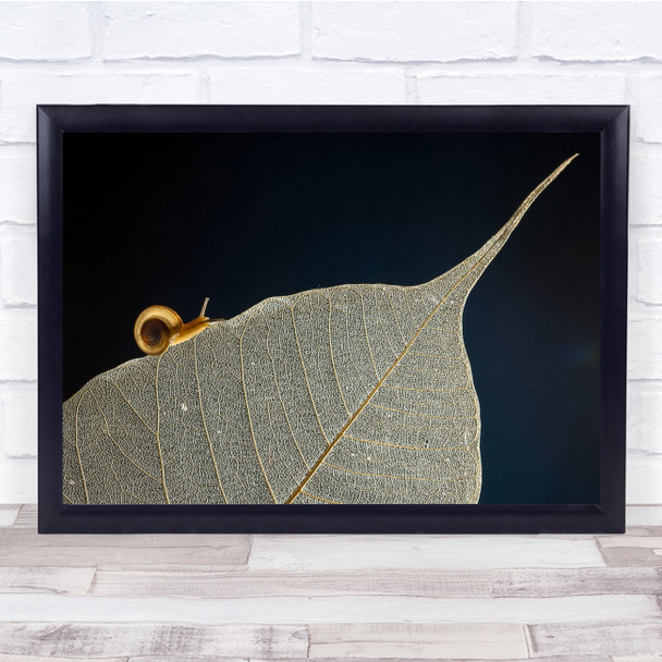 Snail leaf close up nature botanical Wall Art Print