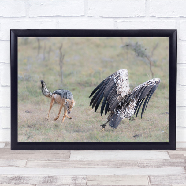 Animals Fight Chase Bird Dog Nature Wall Art Print