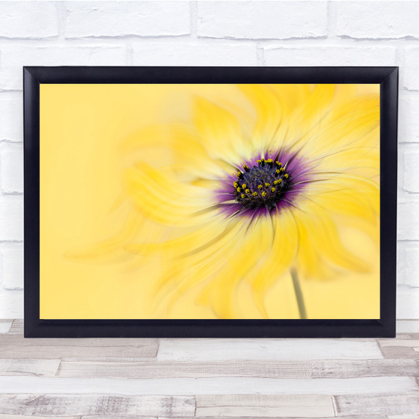 Daisy Flower Macro Golden Botanical Wall Art Print