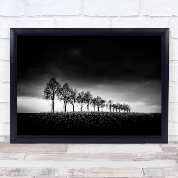 Descending Trees Black white Clouds Wall Art Print