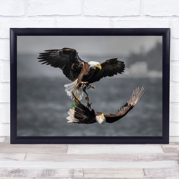 Eagles in flight action fight wings Wall Art Print