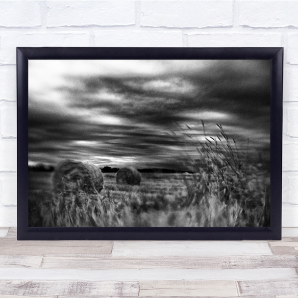 hay and reeds field black and white Wall Art Print