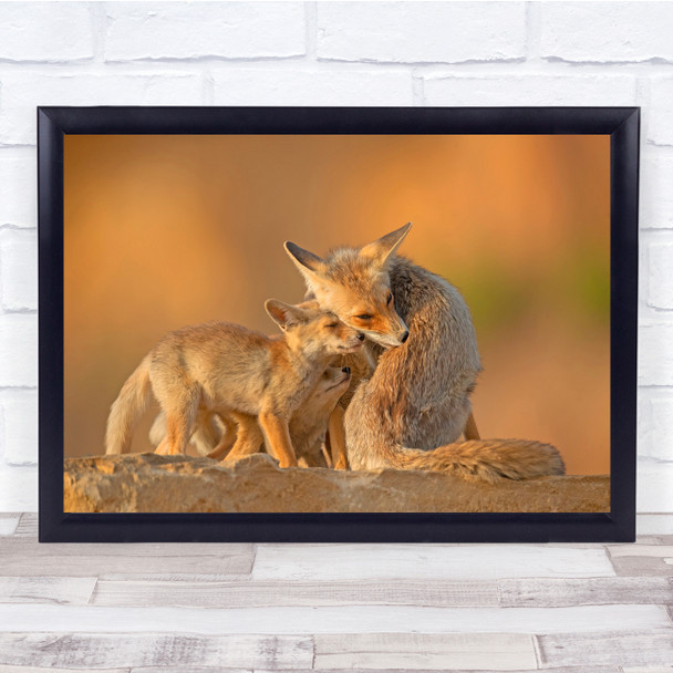 Wild Nature Animals Foxes Cubs Cute Wall Art Print