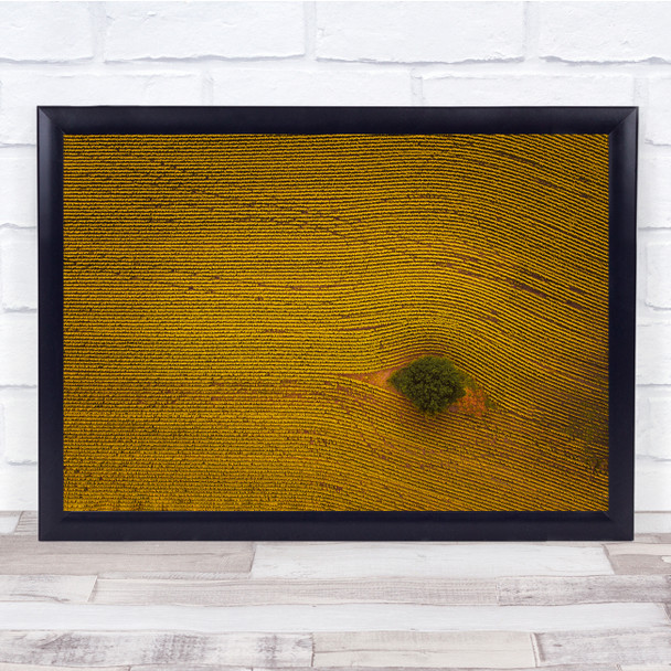 Aerial Tree Landscape Drone Yellow Wall Art Print