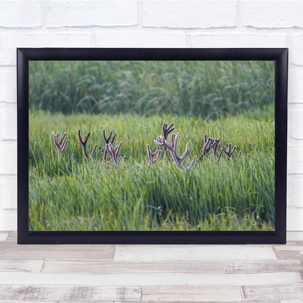 Antlers Spain Meeting Country Deer Wall Art Print