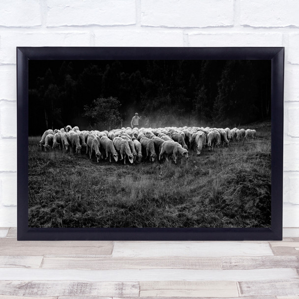 herd of sheep shepherd trees field Wall Art Print
