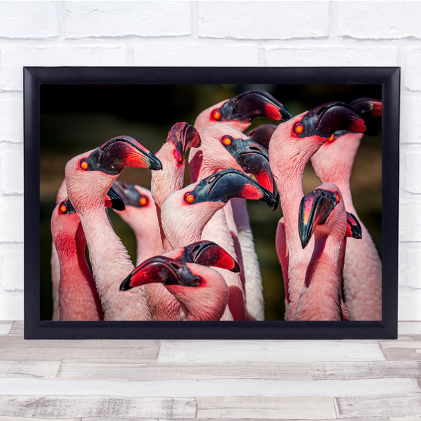 Landscape Flamboyance of Flamingos Wall Art Print