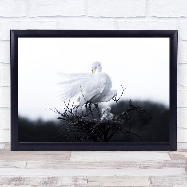 Mother And Baby Birds Black White Wall Art Print