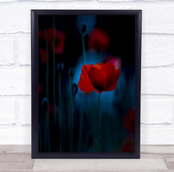 red poppies dark close up nature Wall Art Print