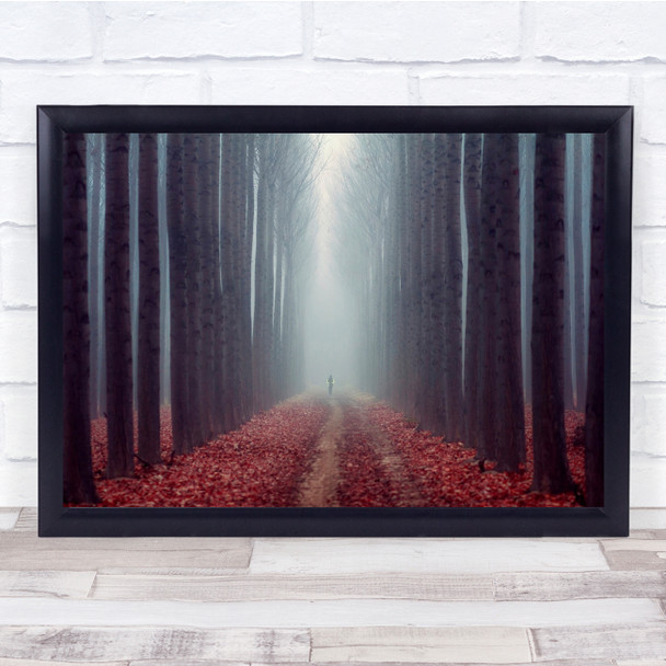The Path red leaves trees nature Wall Art Print