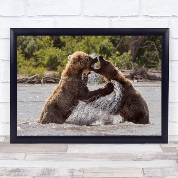 Nature Animals Wild Bears Brown Wall Art Print