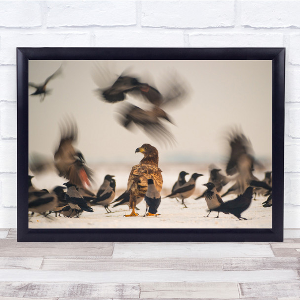 Crowed of Birds Focused blurry Wall Art Print