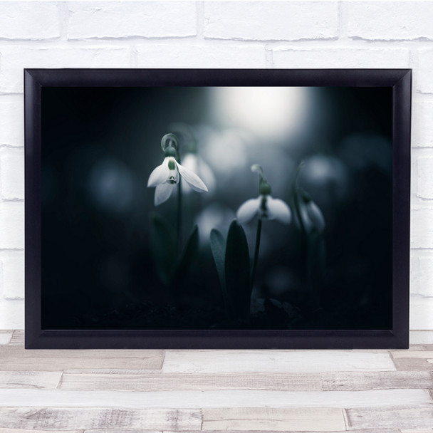 Faint Light flower white petal Wall Art Print