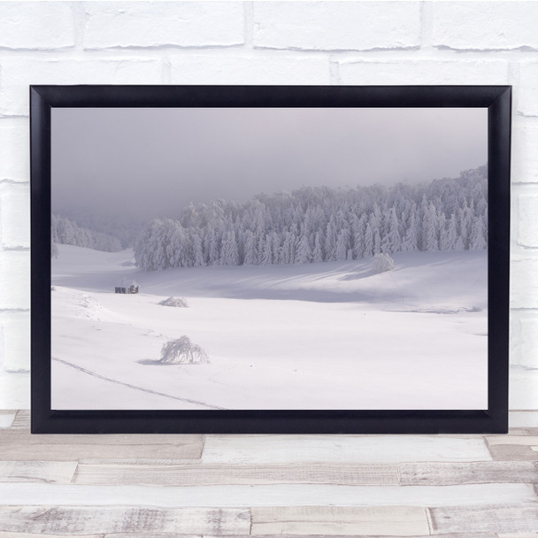 Sun And Mist Trees In the Snow Wall Art Print