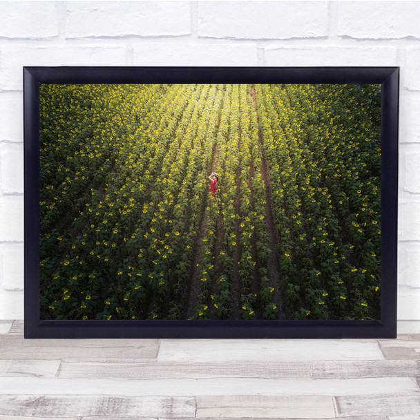 Field Summer Sunflower model Wall Art Print