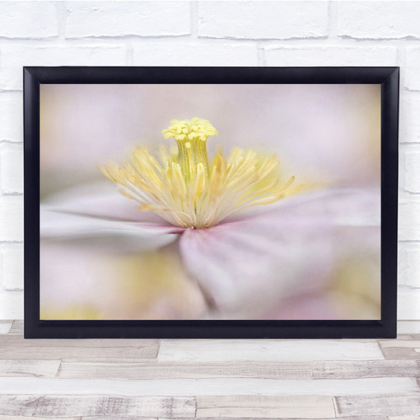 Yellow Flower Cambs Uk Bokeh Wall Art Print Yellow Flower Cambs Uk Bokeh Wall Art Print