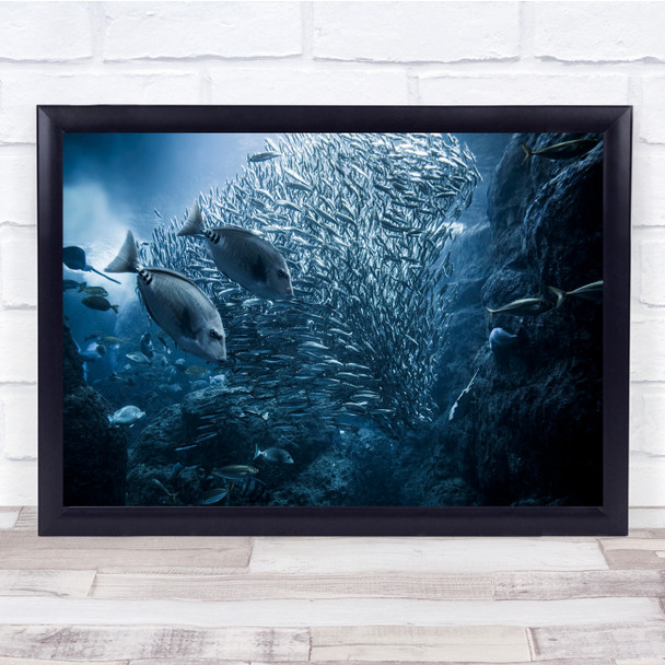 Fish Underwater Exploration Wall Art Print