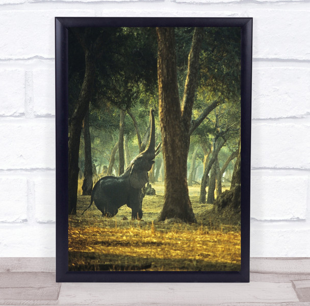 Elephant Animal Trunk Yoga Wall Art Print