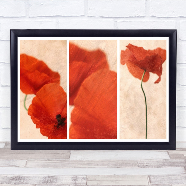 Three Red floral red poppy Wall Art Print
