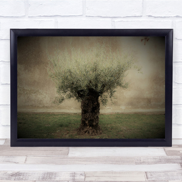 Olive Tree Nature Fruits Wall Art Print