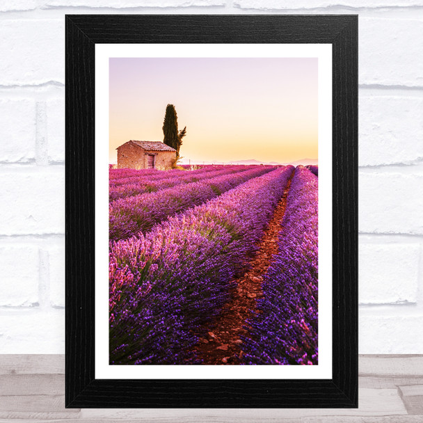 Lavender Fields Collection Design 3 Home Wall Art Print