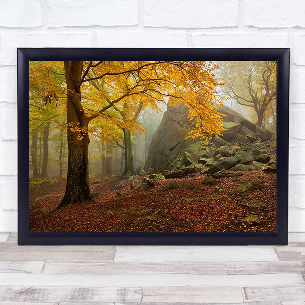 Autumn Forest Tree Trees Fog Mist Old Rocks Fall Wall Art Print