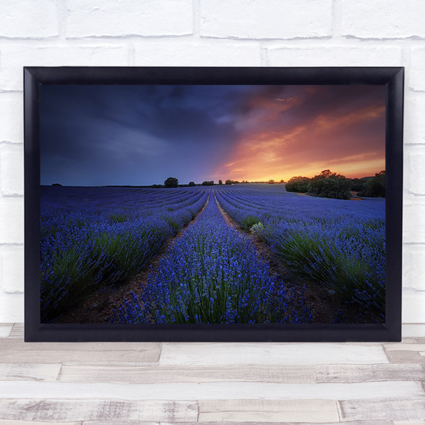 Brouhaha Lavender Purple Flower Aroma Plant Violet l Provence Art Print