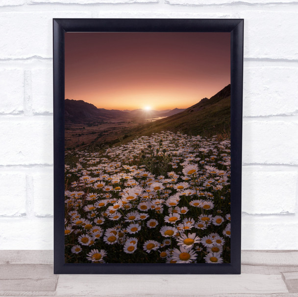 Closer To The Sun Daisies Field Daisy Mountains Peak Spain Leon Wall Art Print