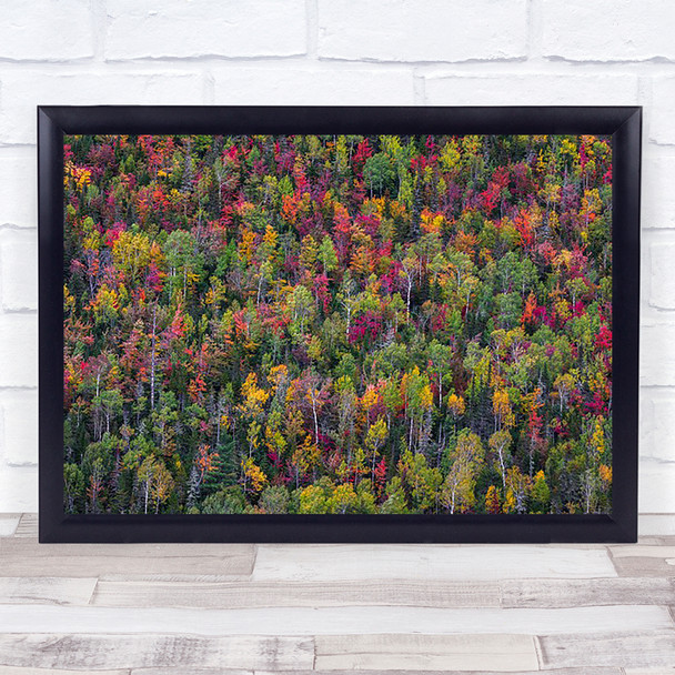 Colour palette Fall Autumn Tree Trees Graphic Woods Forest Abstract Art Print