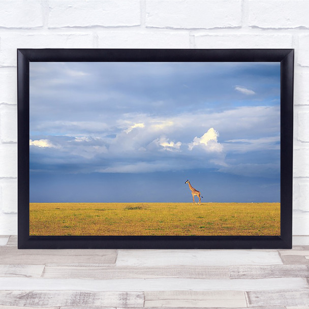 Colours Of Freedom Giraffe Wildlife Animal Serengeti Cloud Wild Plains Art Print