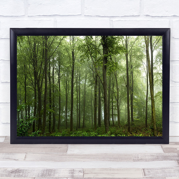 Forest Denmark Forest Fog Green Jutland Skive Foliage Summer Wall Art Print