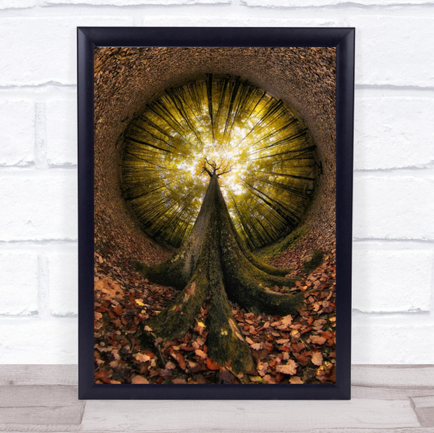 Four Centuries Oak Tree Panoramic Fisheye France Planet Roots Leaves Art Print