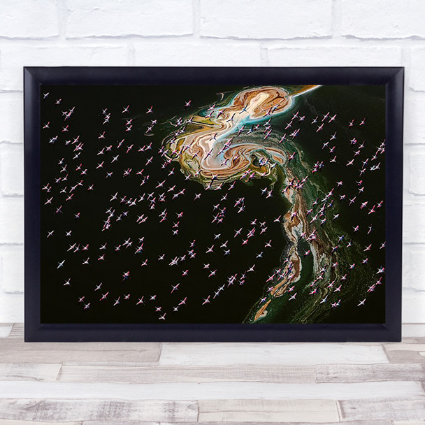 Hundreds of Flamingos Lake Magadi Pattern Bird Formation Aerial Wall Art Print