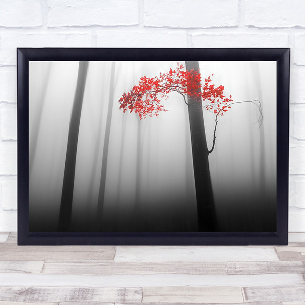 Illusion Fog Trees Forest Red Black White Mist Tree Wall Art Print