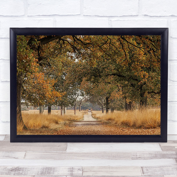 Lane Veluwe Deelerwoud Autumn Grass Gelderland Netherlands Fall Wall Art Print