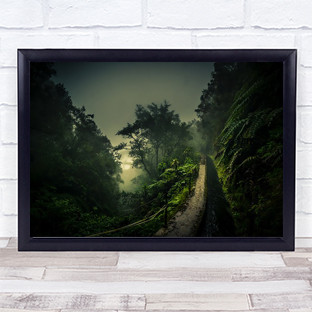Levada Walk Water Forrest Rainforest Clouds Fog Green Madeira Rain Art Print