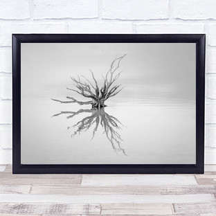 Reaching Out Tree Sunrise Water Reflection Simple Minimalism Wall Art Print