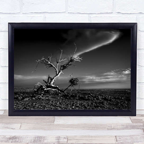Salton Sea Sculpture Tree Dead Lonely Wasteland Barren Wither Wall Art Print