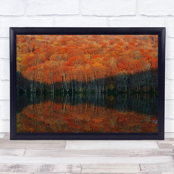 Shadow Fade Autumn Fall Foliage Trees Forest Asia Nature Red Light Art Print