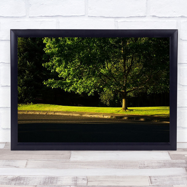 Side Lit Tree Sunset Portland Oregon Tree Sunset Light Wall Art Print