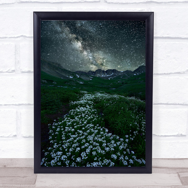Starring Path Milky way Colorado Wildflowers Nightscape Galaxy Wall Art Print