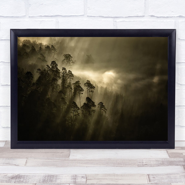 Streiflichter Atmosphere Toned Monocolour Forest Light Rays Beams Wall Art Print
