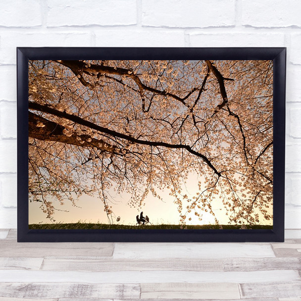 Way Back Cherry Blossom Bike People Lifestyle Bicycle Transportation Art Print