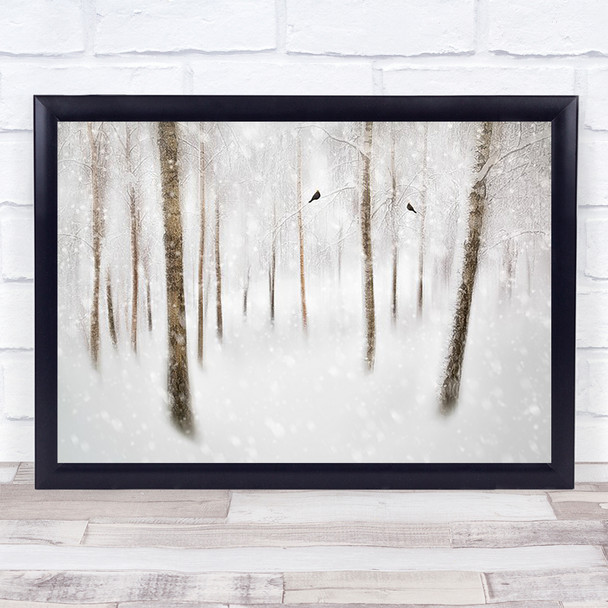 Winter Birches Snow Trees Birds Bird White Tree Wall Art Print