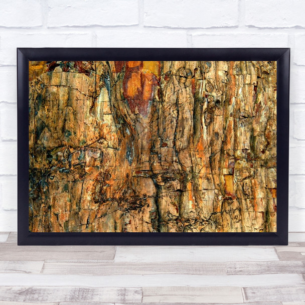 Bark California USA United States Wood Tree Abstract Wall Art Print