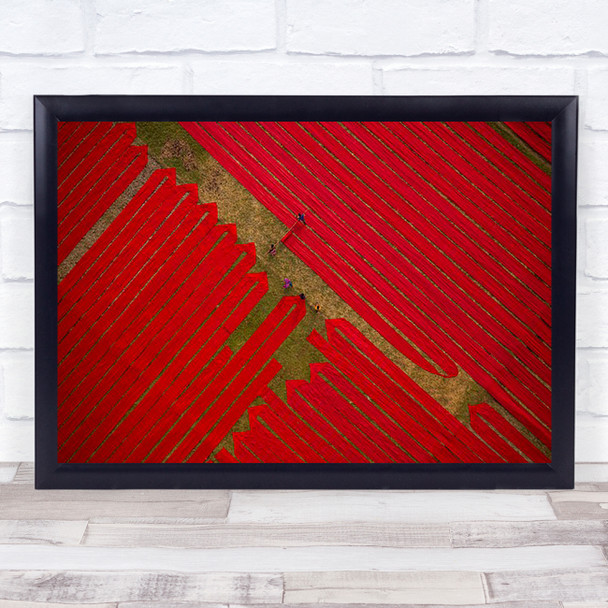 Red Cloths Cloth Colourful Workers Traditional Worker Working Wall Art Print