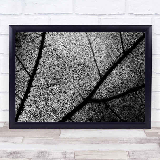 Streets Leaf Veins Artery Arteries Capillary Capillaries Texture Wall Art Print