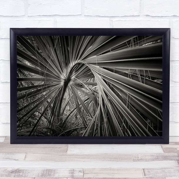 Wildlife Wild Nature Leaves Repetition Blacka White Palm Tree Wall Art Print