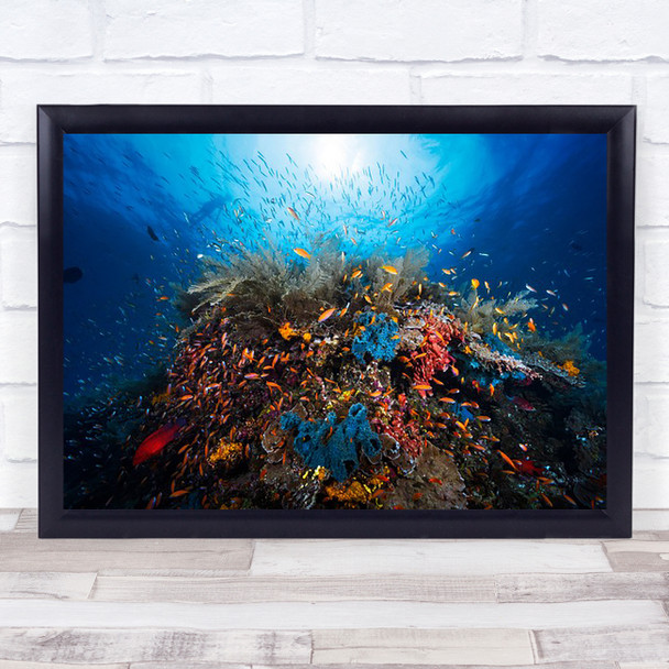 Apnea Underwater Lagoon Reef Ocean Sea Fish Coral Corals Wall Art Print