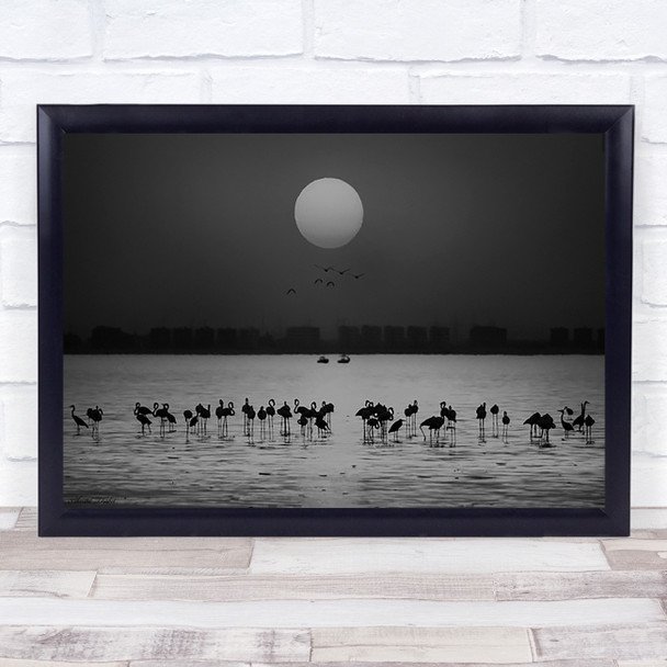 At a glance Kuwait Animals Flamingos Birds Flamingo Bird Animal Wall Art Print